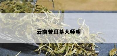 云南普洱茶大师明