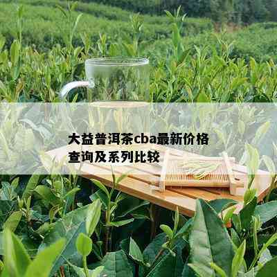 大益普洱茶cba最新价格查询及系列比较