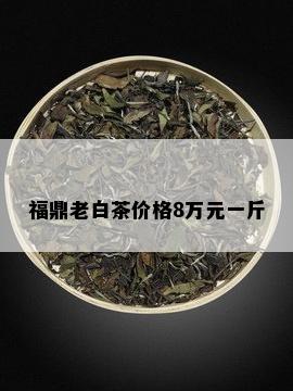 福鼎老白茶价格8万元一斤