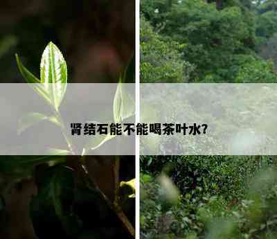 肾结石能不能喝茶叶水？