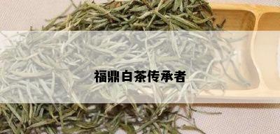 福鼎白茶传承者