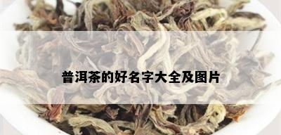 普洱茶的好名字大全及图片