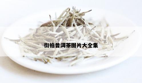 街拍普洱茶图片大全集