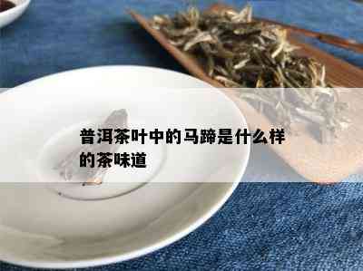 普洱茶叶中的马蹄是什么样的茶味道