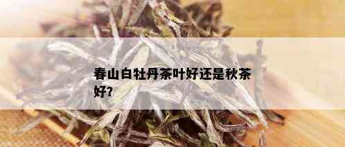 春山白牡丹茶叶好还是秋茶好？