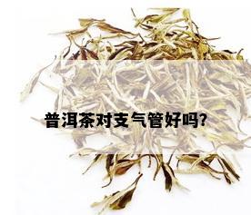 普洱茶对支气管好吗？