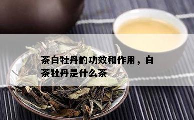 茶白牡丹的功效和作用，白茶牡丹是什么茶