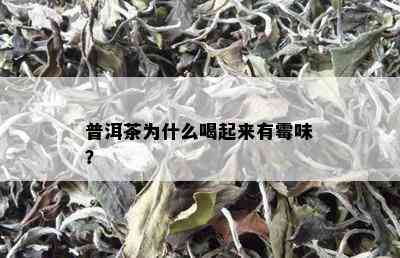 普洱茶为什么喝起来有霉味？