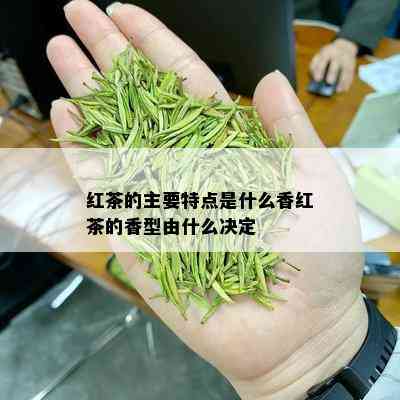 红茶的主要特点是什么香红茶的香型由什么决定