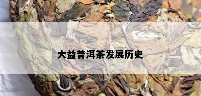 大益普洱茶发展历史