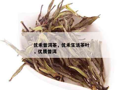 优禾普洱茶，优禾生活茶叶，优质普洱