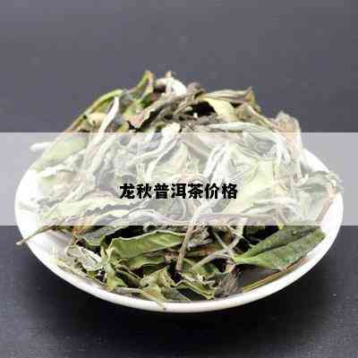 龙秋普洱茶价格