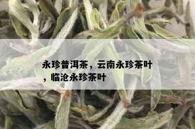 永珍普洱茶，云南永珍茶叶，临沧永珍茶叶