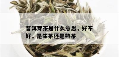 普洱芽茶是什么意思，好不好，是生茶还是熟茶