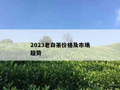 2023老白茶价格及市场趋势