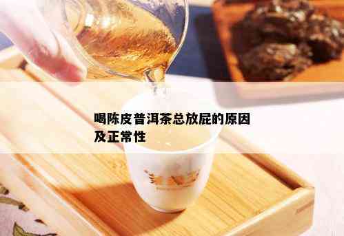 喝陈皮普洱茶总放屁的原因及正常性