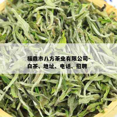 福鼎市八方茶业有限公司-白茶、地址、电话、招聘