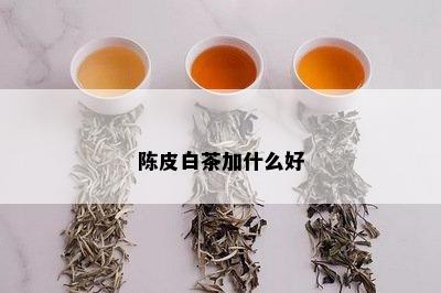 陈皮白茶加什么好