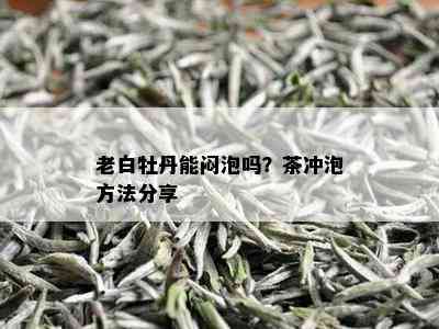 老白牡丹能闷泡吗？茶冲泡方法分享