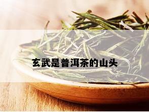 玄武是普洱茶的山头