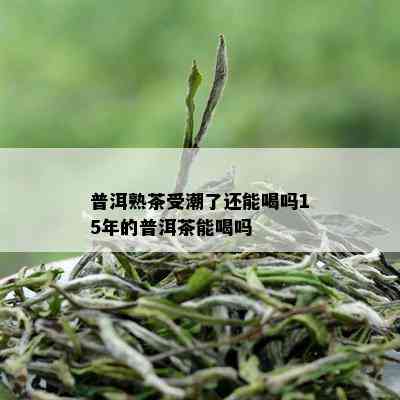 普洱熟茶受潮了还能喝吗15年的普洱茶能喝吗