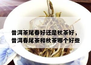 普洱茶尾春好还是秋茶好，普洱春尾茶和秋茶哪个好些