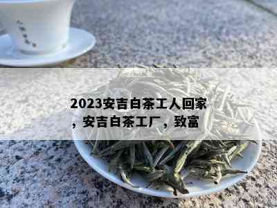 2023安吉白茶工人回家，安吉白茶工厂，致富