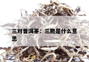 三对普洱茶：三爬是什么意思