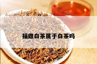 福鼎白茶属于白茶吗