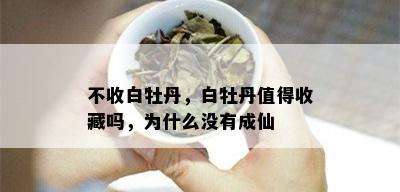 不收白牡丹，白牡丹值得收藏吗，为什么没有成仙