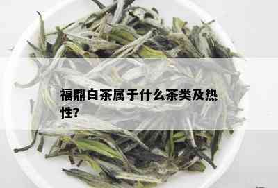 福鼎白茶属于什么茶类及热性？