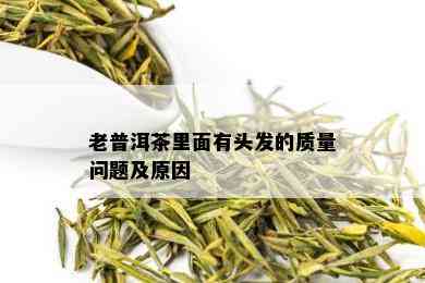 老普洱茶里面有头发的质量问题及原因