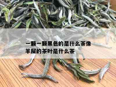 一颗一颗黑色的是什么茶像羊屎的茶叶是什么茶