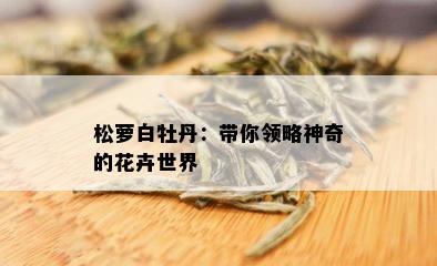 松萝白牡丹：带你领略神奇的花卉世界