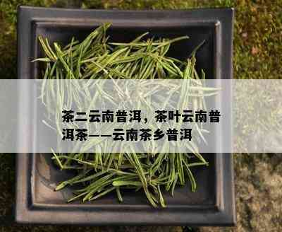 茶二云南普洱，茶叶云南普洱茶——云南茶乡普洱