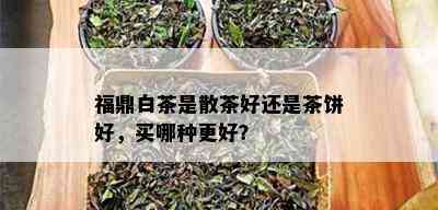 福鼎白茶是散茶好还是茶饼好，买哪种更好？