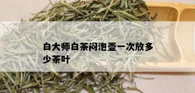 白大师白茶闷泡壶一次放多少茶叶