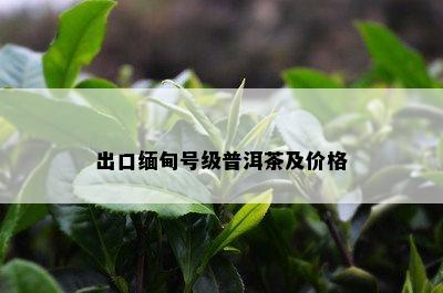 出口缅甸号级普洱茶及价格