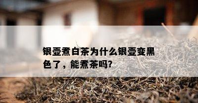 银壶煮白茶为什么银壶变黑色了，能煮茶吗？