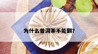 为什么普洱茶不能翻？