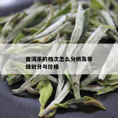 普洱茶的档次怎么分辨及等级划分与价格