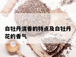 白牡丹清香的特点及白牡丹花的香气