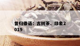 昔归傣语：古树茶、印象2019