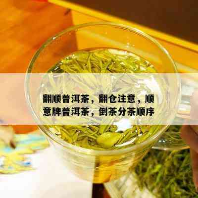 翻顺普洱茶，翻仓注意，顺意牌普洱茶，倒茶分茶顺序