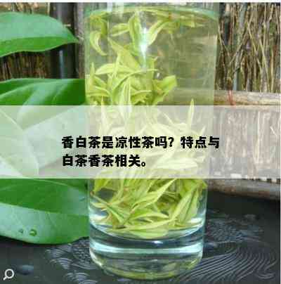 香白茶是凉性茶吗？特点与白茶香茶相关。