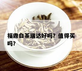 福鼎白茶瑞达好吗？值得买吗？