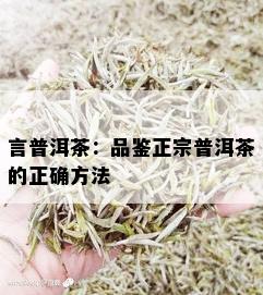 言普洱茶：品鉴正宗普洱茶的正确方法