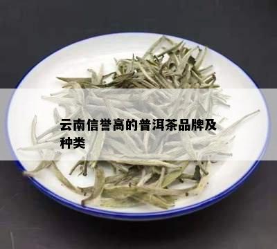 云南信誉高的普洱茶品牌及种类