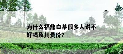 为什么福鼎白茶很多人说不好喝及其贵价？