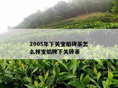 2005年下关宝焰砖茶怎么样宝焰牌下关砖茶